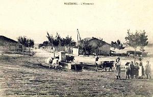 389- Voltaire - L'abreuvoir